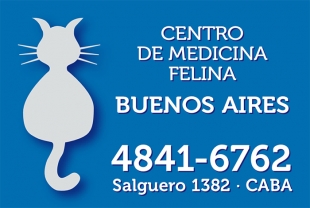 iman_medicina_felina